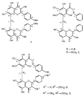 Fig. 4. Methylene bis#avonoids from Pityrogramma triangularis var. triangularis.