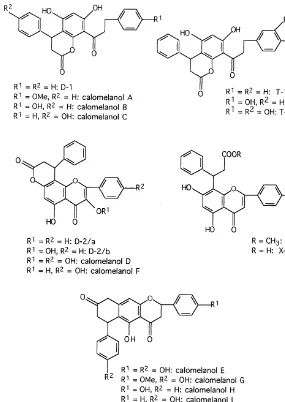 Fig. 3. Complex Flavonoids from Pityrogramma spp.