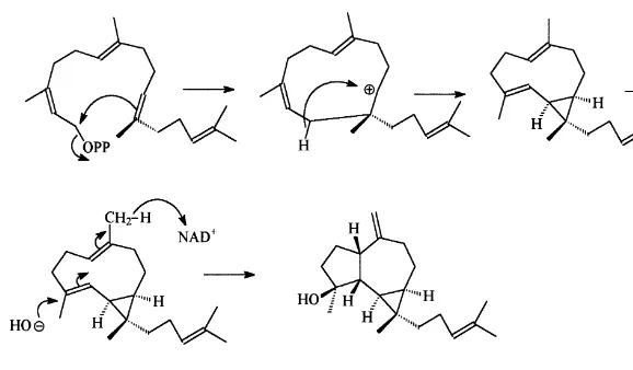 Fig. 1. Proposed biosynthesis of Cneorubin X.