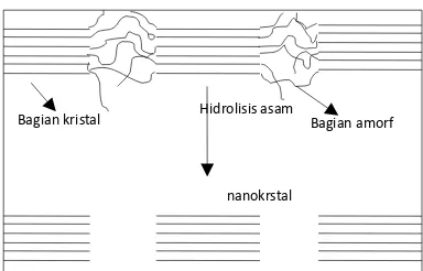 Gambar 1.1. Skema tahapan hidrolisis selulosa