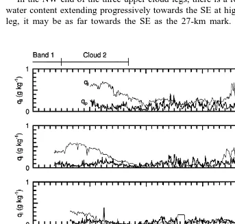 Fig. 9. Cloud and drizzle liquid water mixing ratio qŽ andl q , respectively for the four cloud legs and thep.surface leg in stack 1