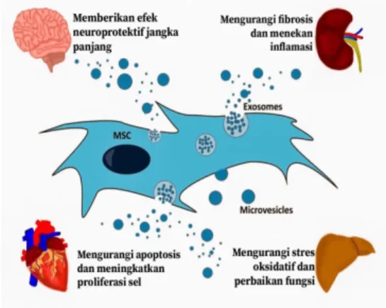 Gambar 1. Gambaran umum kerja 