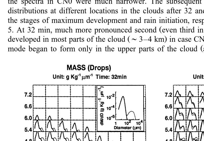 Fig. 4. Mass left and number right distribution functions of drops for case CN0 heavy line and CN1 thinŽ.Ž.Ž.Žline at the center of the clouds, 1800 m high just above the cloud base , and at 16 min of simulation..Ž.
