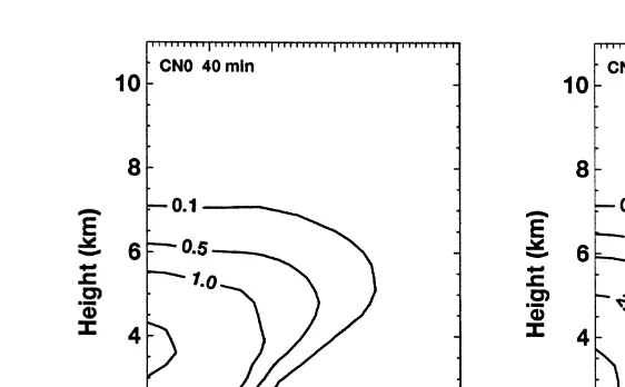 Fig. 7. Spatial distribution of the effective radii of graupel particles at 40 min in case CN0 left and CN1Ž.Žright 