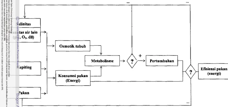 Gambar 1 Skema pendekatan pemecahan masal.h dan rencana ev.luasi pengaruh salinitas p.d