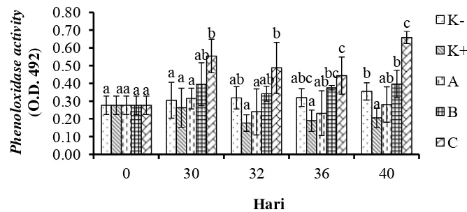 Gambar 6 Aktivitas phenoloxydase (PO) udang vaname (L. vannamei) sebelum dan setelah uji tantang dengan V