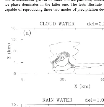 Fig. 2. Isolines of the condensate fields for the kinematic test mimicing development of convectiveŽ .with contour intervals of 0.2 g kgmixing ratios of 0.01 g kgprecipitation at time ts4 h