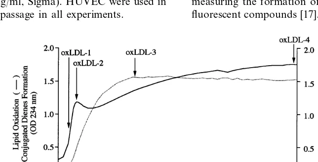 Fig. 1. Graphic representation of a 24 h continuous monitoring of conjugated dienes formation (optic density 234 nm, solid line) and of ﬂuorescentcompounds formation (excitation 360 nm, emission 430 nm, broken line) during low density lipoprotein (LDL) oxi