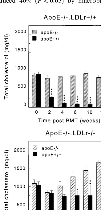 Fig. 1. Effect of reconstitution of macrophage apoE-synthesis inapoEwith apoE−/−.LDLr+/+ and apoE−/−.LDLr−/− mice on serumcholesterollevels.AftertransplantationofeitherapoE−/−.LDLr+/+ (panel A) or apoE−/−.LDLr−/− (panel B) mice−/− (hatched bars) or apoE+/+