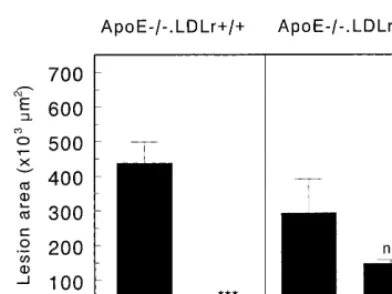 Fig. 4. Effect of reconstitution of macrophage apoE-synthesis inapoEceptibility to atherosclerosis