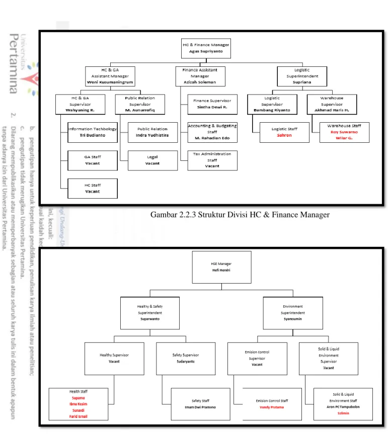 Gambar 2.2.4 Struktur Divisi HSE Manager 