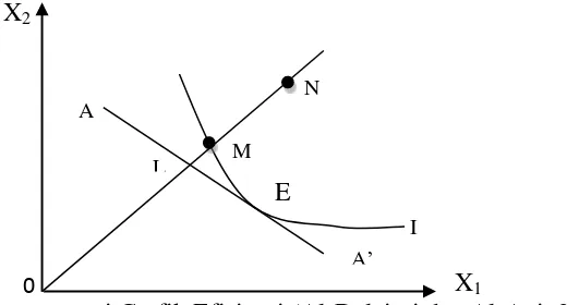 Grafik 2.2. Representasi Grafik Efisiensi (Al-Delaimi dan Al-Ani, 2006:137) 