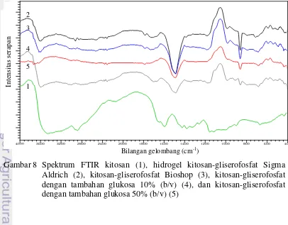 Gambar 8 Spektrum FTIR kitosan (1), hidrogel kitosan-gliserofosfat Sigma 