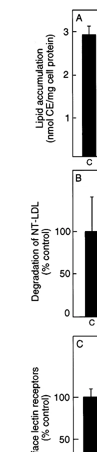 Fig. 2. Decreased cell surface lectin expression in thioglycollate(TG)-elicited macrophages