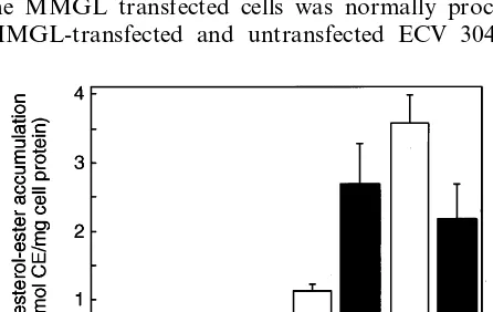 Fig. 3. Stimulated uptake of neuraminidase-treated low density lipo-protein (NT-LDL) after lipopolysaccharide (LPS)-treatment