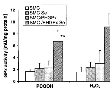 Fig. 2. Selenium-dependent glutathione peroxidase activities of con-trol (smooth muscle cells, SMC) and phospholipid hydroperoxidemuscle cells