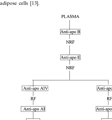 Fig. 1. Flow diagram of the various stages of sequential im-munoafﬁnity chromotography resulting in the isolation of the fourtypes of HDL particles named according to their composition in themain apolipoproteins (Apo, apolipoprotein; Lp, lipoprotein; RF,retained fraction; NRF, non-retained fraction).