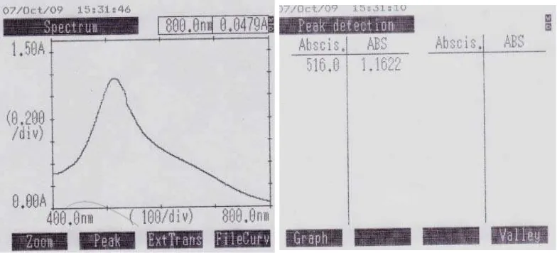 Gambar 1. Kurva serapan maksimum larutan DPPH 40 ppm dalam metanol secara spektrofotometri visibel  