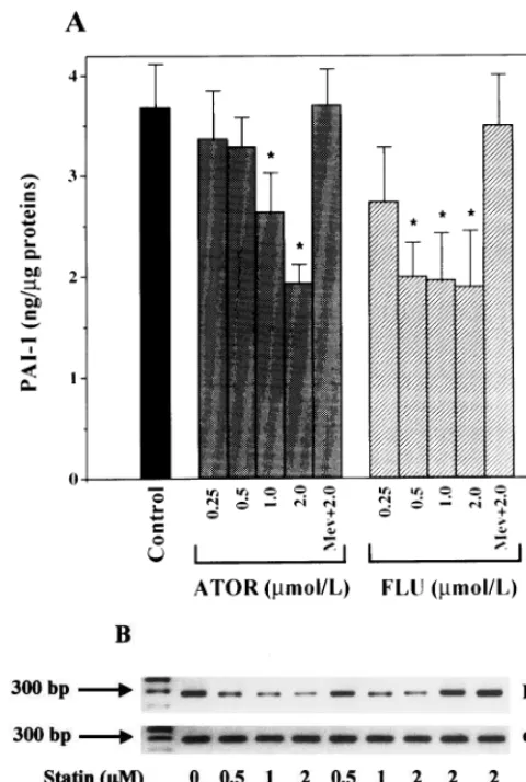 Fig. 3. Effect of ATOR and FLU on PAI-1 synthesis in HUVECstimulated by TNFunstimulated conditions is repeated (black bar)