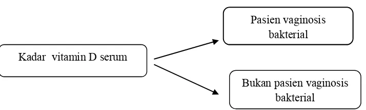 Gambar 2.4 Diagram kerangka konsep penelitian  