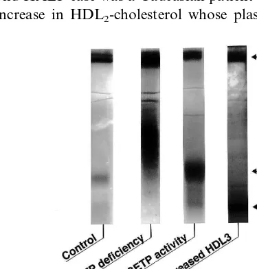 Fig. 2. Mutations in the human cholesteryl ester transfer protein (CETP) gene reported so far.