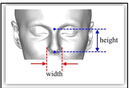 Gambar 5. Lebar hidung dan tinggi hidung 27 