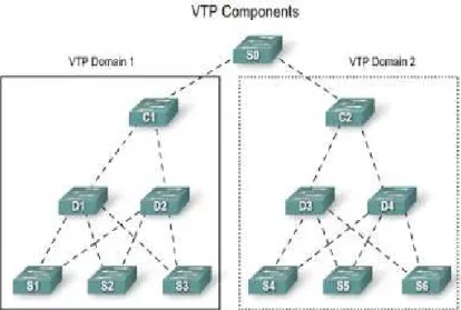 Gambar 2.3 VTP Domain 