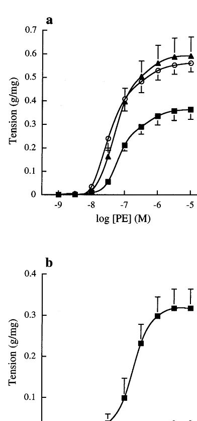 Fig. 2. Concentration contraction response curves to PE after incuba-tion with (a) native (Contraction is expressed as g tension produced per mg of tissue
