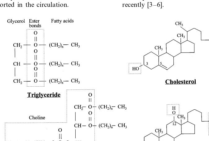 Fig. 1. Chemical structure of four lipid molecules of biological relevance, showing the variability of hydrophobic (fatty acid hydrocarbon chainsand steroid nucleus) and hydrophilic domains (ester bonds, hydroxyl groups, choline; shown inside broken lines)