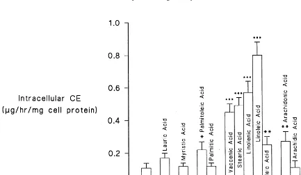 Fig. 4. Apolipoprotein B accumulation in the medium from Hep G2 cells after incubation with different fatty acids