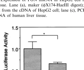 Fig. 1. Expression of PON mRNA in HepG2 cell line and humanliver tissue. Lane (a), maker (�X174-HaeIII digest); lane (b), PCRproduct from the cDNA of HepG2 cell; lane (c), PCR product fromthe cDNA of human liver tissue.