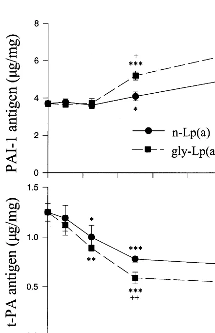 Fig. 2. Time-dependence of glycated Lp(a) on the generation ofPAI-1 and t-PA antigen from cultured HUVEC