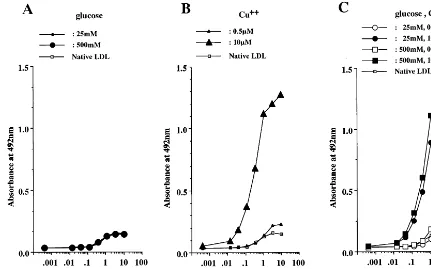 Fig. 7. oxPC-epitope formed by incubating LDL with glucose (A), copper ion (B) or glucose and copper ion (C)