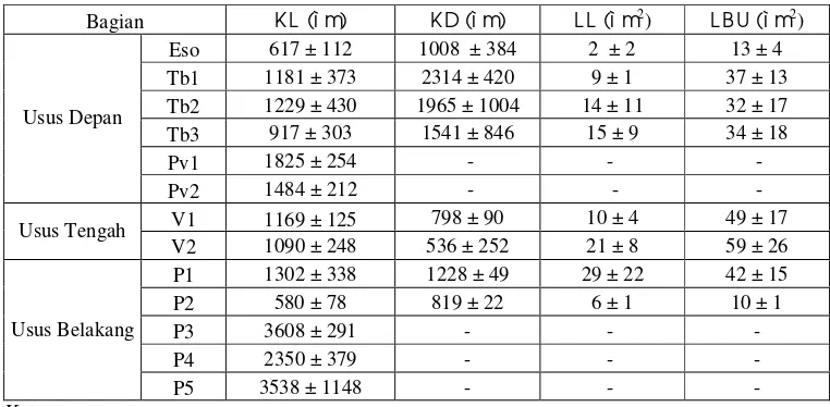 Tabel 1  Daftar nilai keliling luar (KL), keliling dalam (KD), luas lumen (LL), dan luas bidang usus (LBU) setiap bagian saluran pencernaan rayap kasta prajurit N