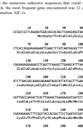 Fig. 2. Nucleotide sequence of red sea bream AIF-1 cDNA. Deduced amino acid sequence is aligned