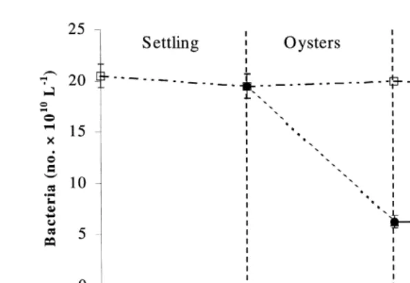 Fig. 6. Changes in water column dissolved oxygen concentrations of shrimp pond effluent from sedimentation,oyster filtration and macroalgal absorption