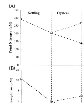 Fig. 7. Changes in water column total NŽ .Aand PŽ .Bconcentrations of shrimp pond effluent fromsedimentation, oyster filtration and macroalgal absorption
