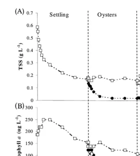 Fig. 2. Changes in total suspended solidsŽ .Aand phytoplankton biomassŽchlorophyll a ;.Ž .Bfromsedimentation, oyster filtration and macroalgal absorption of shrimp pond effluent