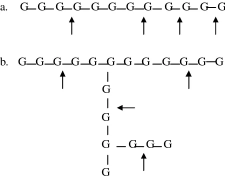Gambar 3. Skema kerja α-amilase. 