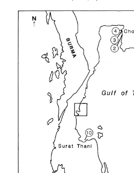 Fig. 1. Locations of sites sampled in Thailand in 1995 and 1996 for species of Saccostrea.