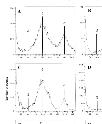Fig. 2. Flow cytometric ploidy profiles of 48-h-old larvae resulting from short 15–35 min PF — left columnŽ.and long 7–43 min PF — right column CB treatments 0.5 mgŽ.Žrl of triploid eggs fertilized with diploid.sperm