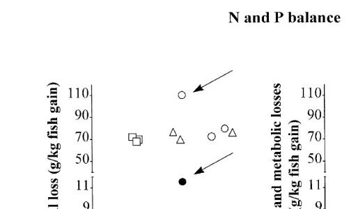 Fig. 3. Relationship between individual gain and N and P loss mean,Ž ns15 fish per batch in batches of.juvenile Eurasian perch submitted to three different DL 12, 18, and 24 h 