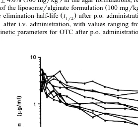 Fig. 4. Semilogarithmic plot of plasma OTC concentration vs. time in Arctic charr.administration of a single dose of 100 mgŽns9after p.o.rkg body weight agar formulation 