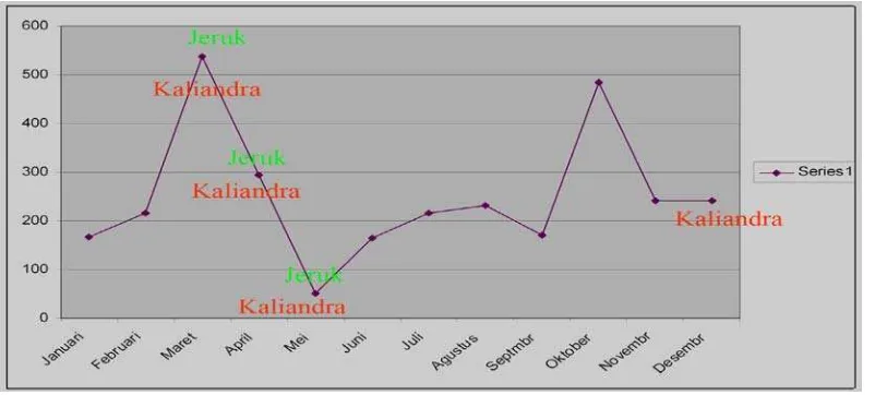 Grafik 2. Berbunga Tanaman Jeruk, Kaliandra dan Curah Hujan 2008 