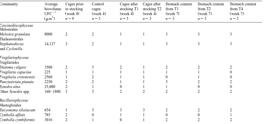Table 1Specific composition and abundance index of the periphytic diatom communities on plastic bottles before and after grazing by tilapia