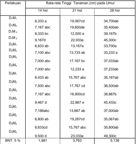 Tabel  2.  Rataan Tinggi Tanaman  (cm)  pada  Perlakuan  Dosis   Pupuk Organik  MOL  dan Komposisi   Media Tanam pada umur 14, 21 dan 28 hst