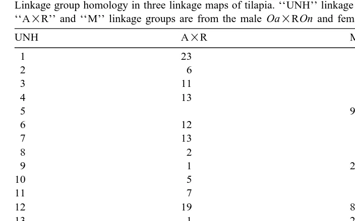 Fig. 2. Comparisons of linkage groups for tilapia showing synteny for three or more microsatellites