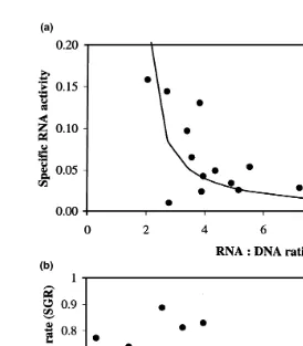 Fig. 2. a Correlation between RNA concentration in muscle expressed as RNA:DNA ratio and the specificŽ .ŽRNA activity measured as the incorporation of14C-L-lysine into muscle protein per unit RNA pmolŽ mgy1.Ys1Ž y17.71q10.74X.y1, rs0.575, Ps0.019 
