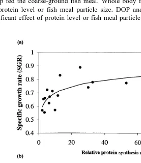 Fig. 4. a Relative protein synthesis efficiency % vs. SGR % dayŽPŽ ..Žy1. ŽYs0.542q0.068 ln X, rs0.741,s0.001 