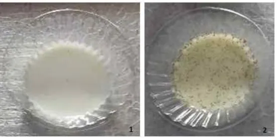 Gambar 4. Yoghurt + gula (1) dan yoghurt + stevia (2) 